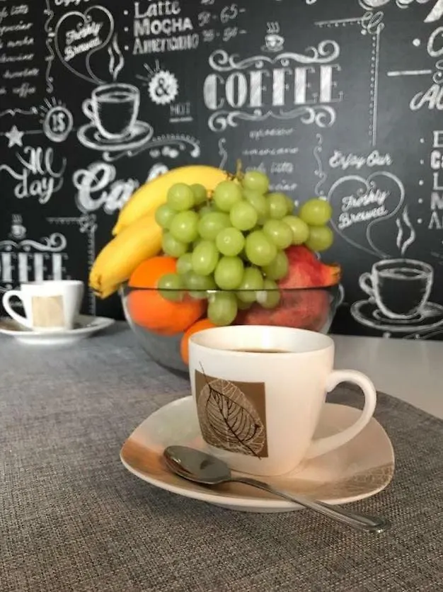 Premium Apartment - Chopin Airport Warszawa